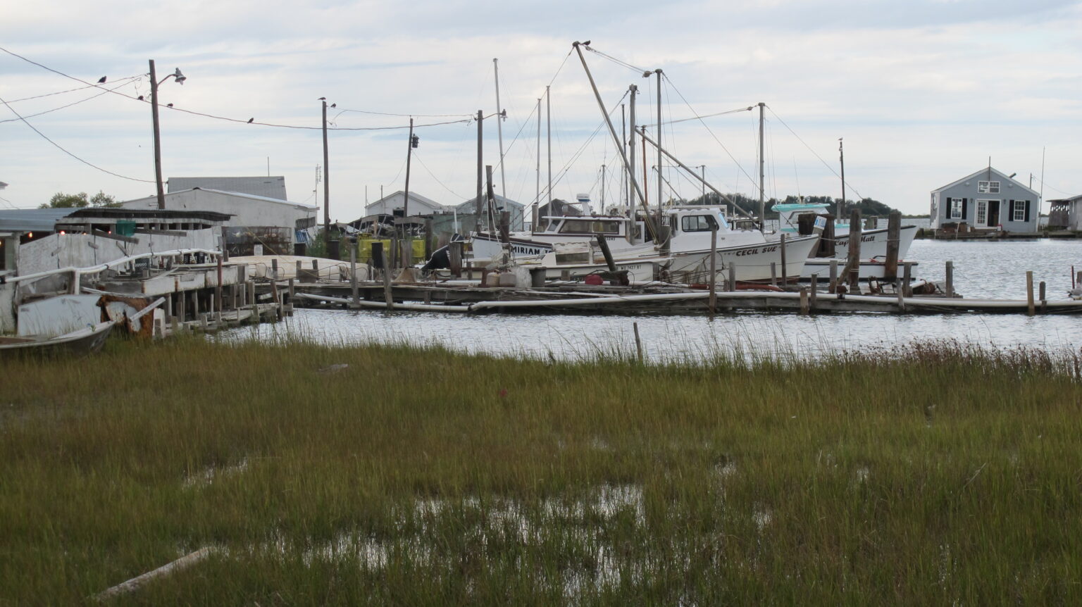 Tangier Island is Sinking as the Chesapeake is Rising