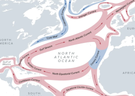 Collapse of Gulf Stream Will Create Weather Crisis in North Atlantic