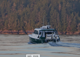 Exploring Vancouver Island’s West Coast with an Aspen Catamaran Flotilla